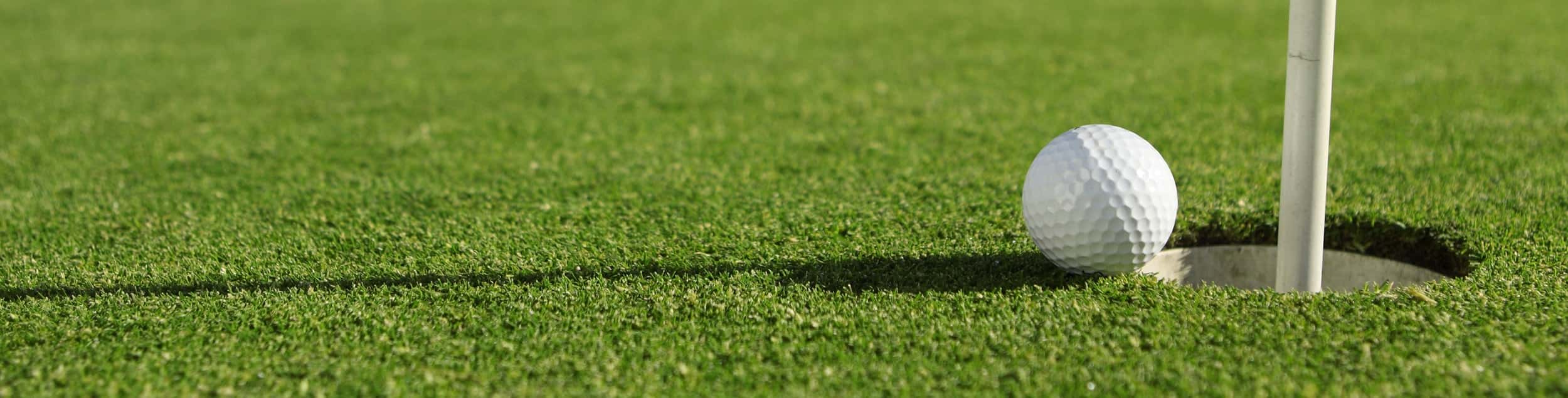 New Forest Golf Club